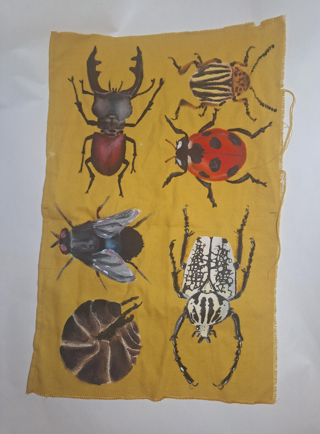 Untitled, 2024, acrylverf op textiel,, 60 x 40cm